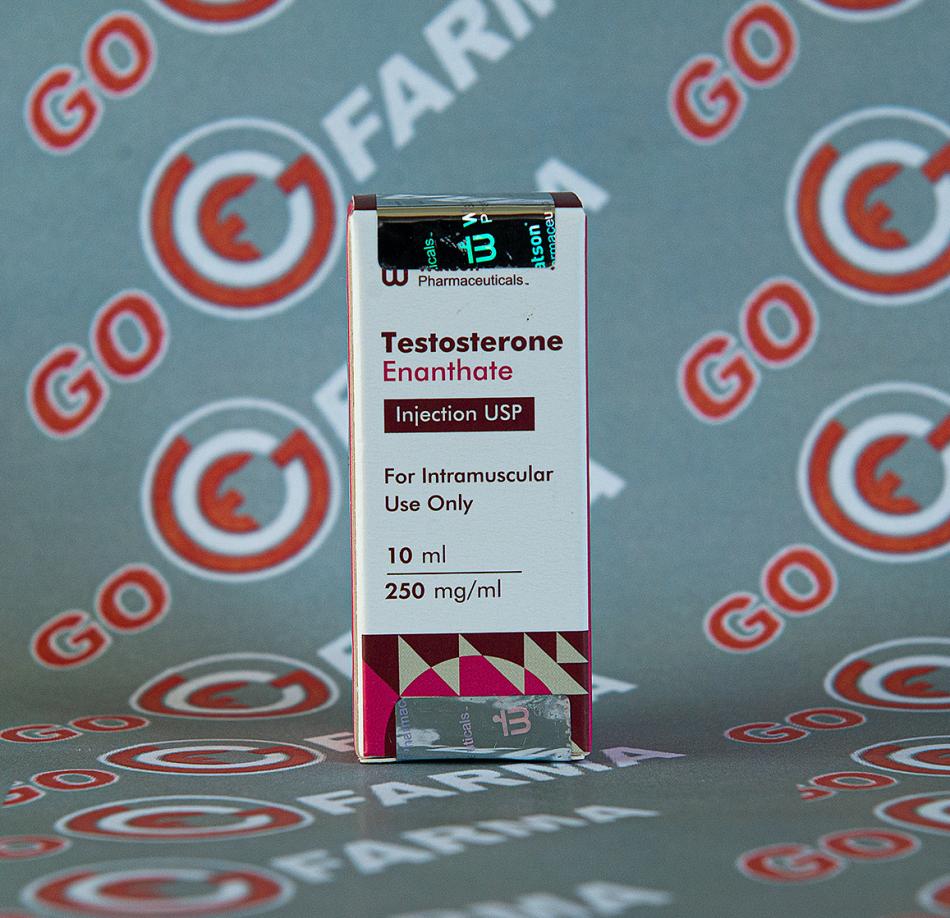 Купить Watson new Testosterone Enanthate 250мг/мг 10мл — низкая цена, доставка по РФ