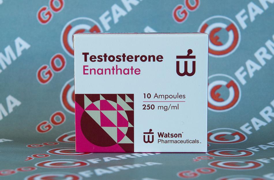 Купить Watson new Testosterone Enanthate 10амп по 250мг — низкая цена, доставка по РФ