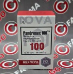 Beenova Pandronex